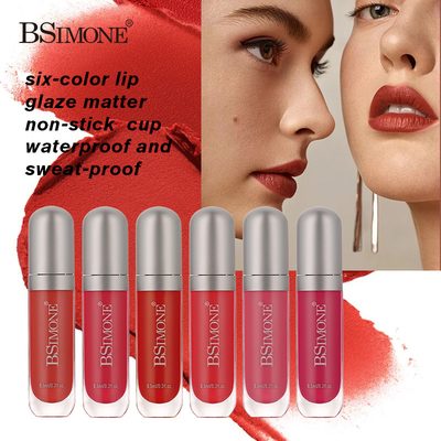 Makeup Matte Non-Stick Lip Gloss, Waterproof, Sweat-Proof, Long-Lasting, Non-Fad