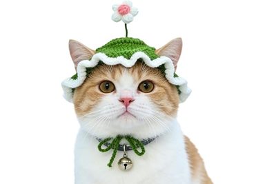 Pet Supplies Amazon pet headgear cat dog knitted hat cospaly props headdress fun