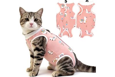 Pet Supplies Cat Clothes Cat Sterilization Clothing Surgical Clothing Weaning Cl