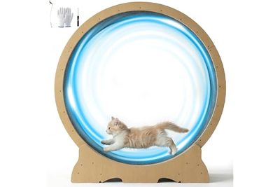 Pet Supplies Cat Toy Cat Sports Cat Treadmill Large Roller Runner Cat Climbing F