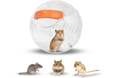 Pet Supplies Hamster Running Wheel Super Quiet Toy Running Ball Roller Sports Ba