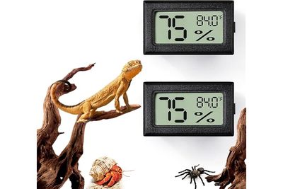 Pet Supplies Kaitai Pet Reptile Thermometer Pointer Type Reptile Pet Gecko Maned