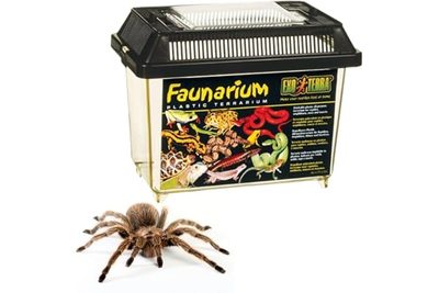 Pet Supplies Large, Medium and Small Portable Transparent Pet Feeding Box Turtle