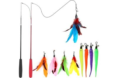 Pet Supplies Pet Cat Toy suit Color Feather Fishing Rod Caterpillar Bell Replace