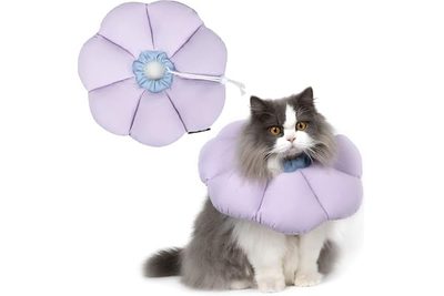 Pet Supplies Cross-border pet Elizabeth collar sunflower cotton-filled collar ca