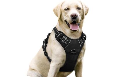 Pet Supplies Pet Harness, Breathable Anti-Explosion Harness-Style Dog Leash, Ref