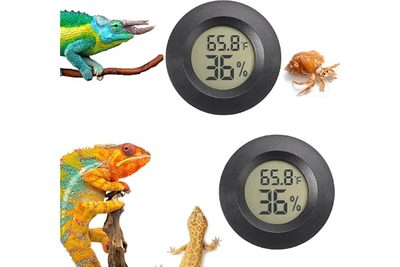 Pet Supplies Round Embedded Electronic Temperature and Hygrometer Reptile Electr