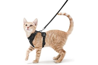 Pet Supplies Small Pet Clothing Tactical Vest Adjustable Chest Harness Pet Cat V