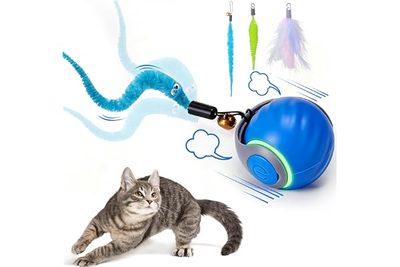 Pet Supplies Source Factory Cat Toy Rechargeable Sports Car Cat Toy Ball Teaser 
