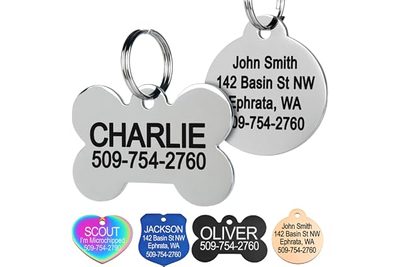 Pet Supplies Cross-Border Stainless Steel Dog Tag Custom Engraving Anti-Lost Met